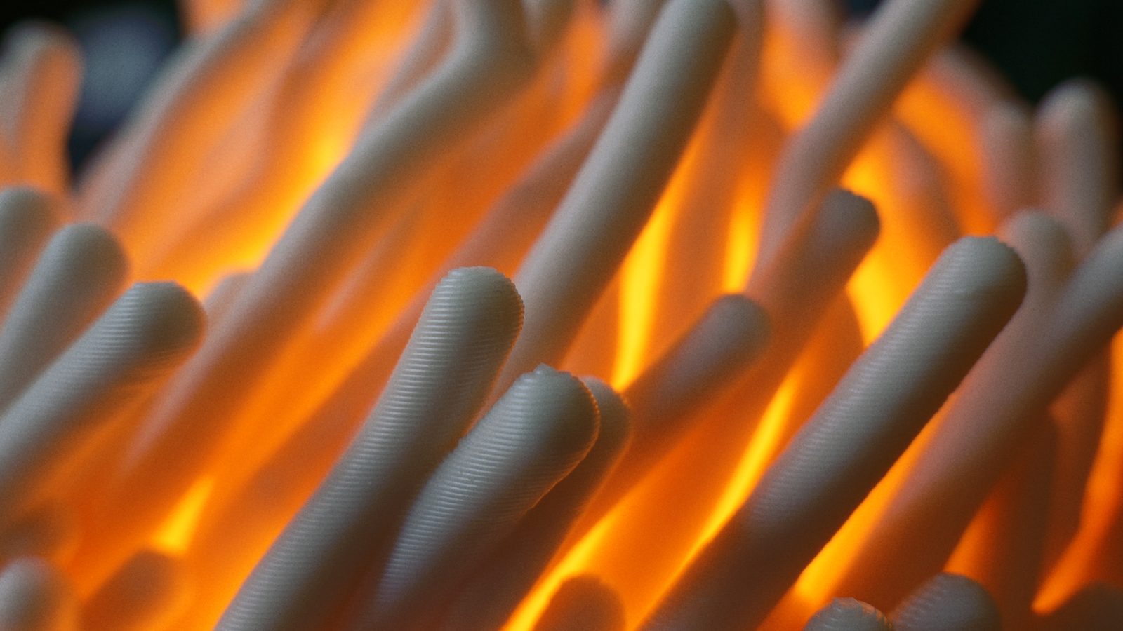 Macro photo of the branch tips, showing the fine layer lines of the PHA print.